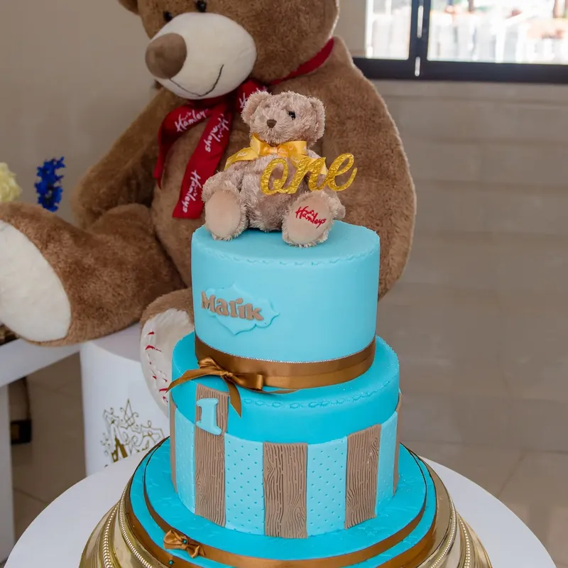 My First Moschino Teddy Gathering photograph 5